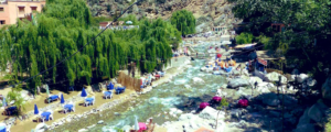 Day trip to the Ourika Valley